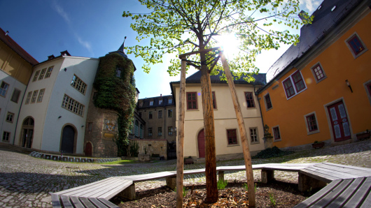 Collegium Jenense, Gründungsstätte der Friedrich-Schiller-Universität Jena.