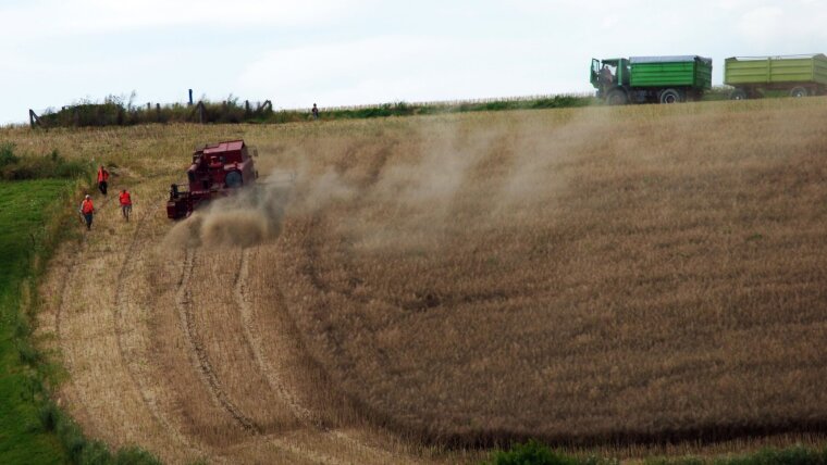 Feld