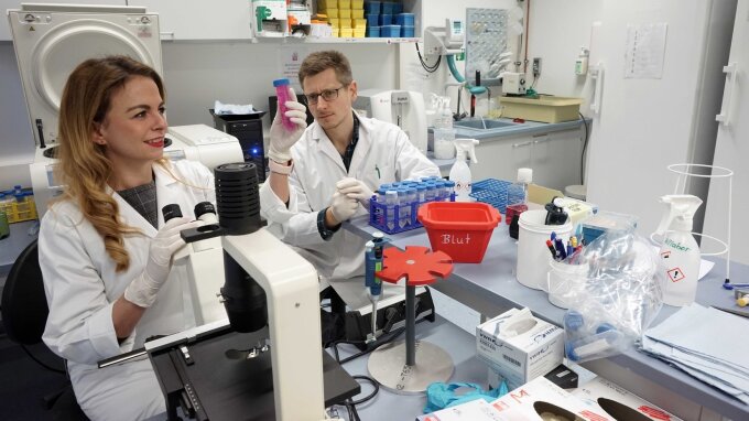 Dr Jana Gerstmeier und Markus Werner investigate the effect of active compounds on the formation of endogenous signalling substances in immune cells during an inflammatory reaction. This will help to develop new active drugs with fewer side effects.