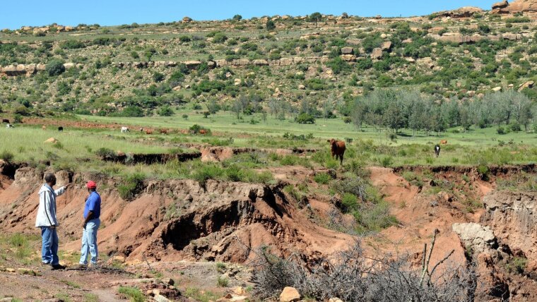 South Africa Project Baade