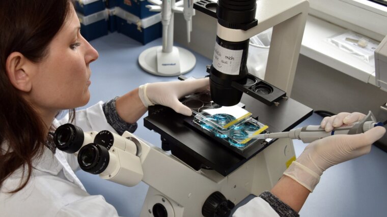 Dr. Maria Wallert arbeitet in der neuen Forschungsgruppe "nanoCARE4skin".