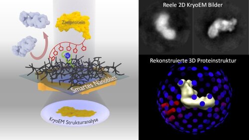 Darstellung des neuen Verfahrens, bei dem das Smarte nanoblatt eingesetzt wird