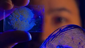 Dr. Courtney Calahoo presents organic (l.) and inorganic glass (r.).