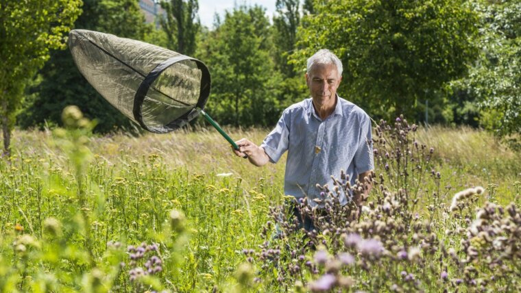 Die Mitarbeit Freiwilliger ist eine tragende Säule des deutschen Biodiversitätsmonitorings.