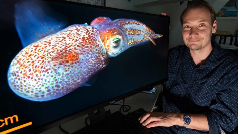 Martin Hager greift bei der Polymerforschung Phänomene wie tierische Biolumineszenz auf.