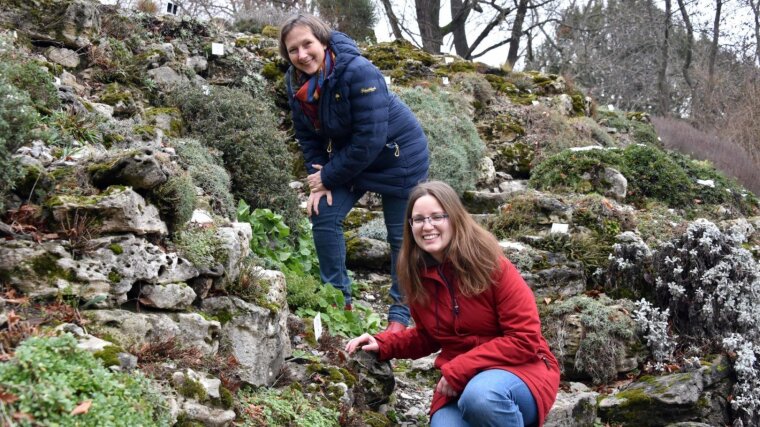 Franziska Bucher und Christine Römermann untersuchen Alterungsprozesse von Pflanzen.