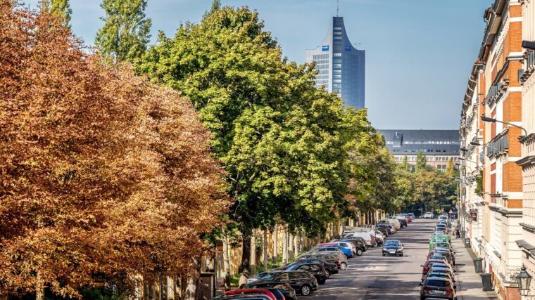 High density of street trees in cities may help to improve mental health.