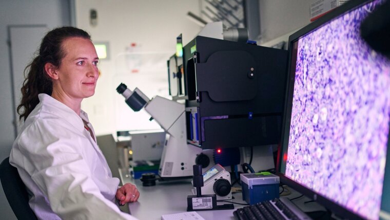 Die Erstautorin der Studie, Christine Dunker, untersucht am Mikroskop den Pilzbefall der Organe.