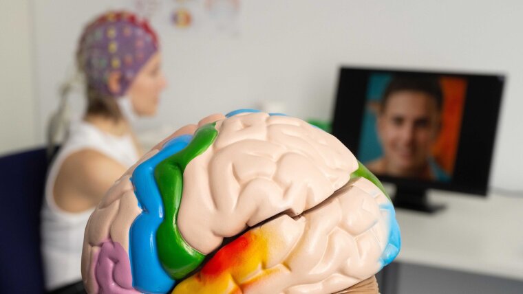 Model of a human brain, in the background a test person wearing an EEG electrode cap.