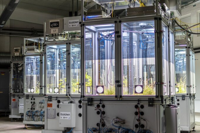 Im iDiv-Ecotron manipulieren Forscher Biodiversität und erforschen die Auswirkungen auf Ökosysteme.