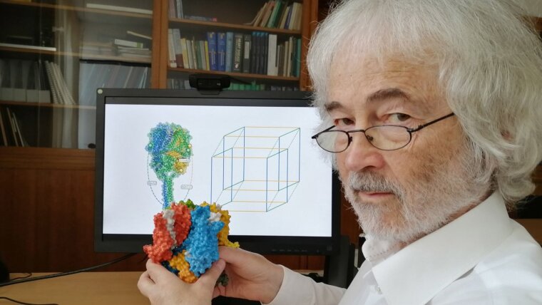 Prof. Dr. Klaus Benndorf mit dem Modell eines Ionenkanals.