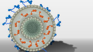 Schemazeichnung: Das Liposom ist mit Wirkstoff- (orange) und Farbstoffmolekülen (blau) ausgestattet.