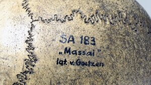 Inscription on the examined skull of a juvenile Massai: SA 183/"Massai"/Igt. v. Goetzen.