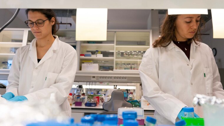Francesca Pinton and Petra Kovacikova do research in the lab with different animals.