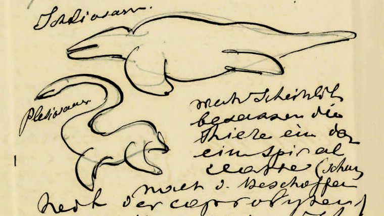 Ausschnitt aus einer Mitschrift von Miklucho-Maclay aus einer Haeckel-Vorlesung über Saurier.