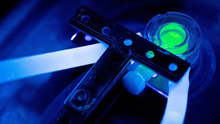 Mechanoluminescent material during an experiment.