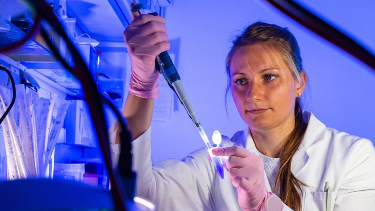 Doktorandin Eva-Maria Piskor ist Mitautorin der Studie. Sie pipettiert Proben für einen Western-Blot.