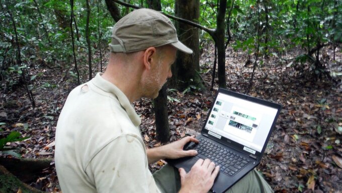 Senior-Autor der Studie Dr. Hjalmar Kühl bei der Feldforschung im Taï National Park, Republik Côte d’Ivoire.