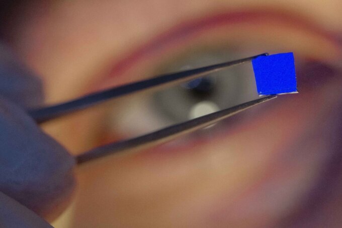 Doktorand Christian T. Plass betrachtet eine Probe mit einzelnen Nanodrähten auf einer dünnen Schicht Siliziumdioxid auf Silizium. Zu erkennen ist nur das Substrat, da die Nanodrähte zu winzig sind.