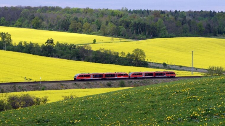 Nahverkehrszug vor blühenden Rapsfeldern.