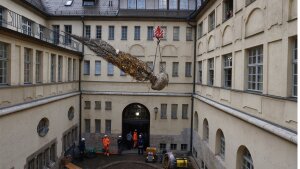 Die Hainbuche wird mithilfe eines Kranes in den kleinen Innenhof des Unihauptgebäudes transportiert.