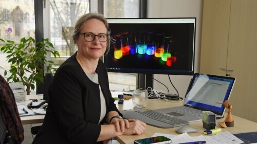 Prof. Dr Birgit Weber at the Institute of Inorganic and Analytical Chemistry