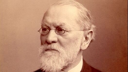 200th anniversary of the birth of Nathanael Pringsheim