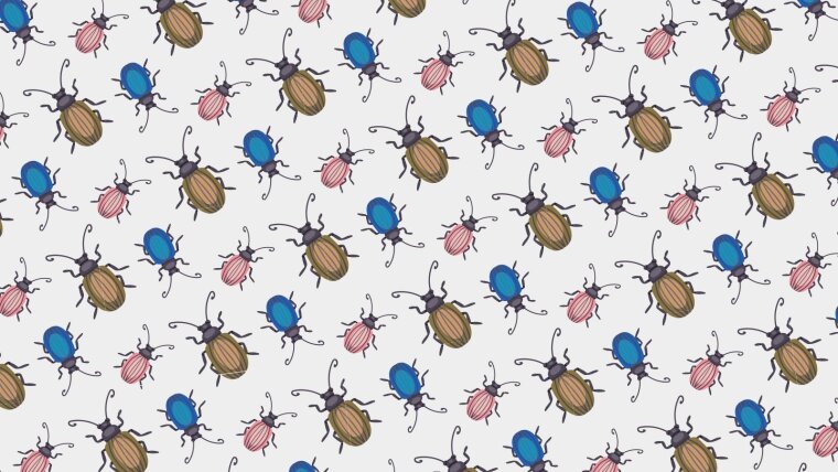 Ein Muster aus vielen bunten Käfern