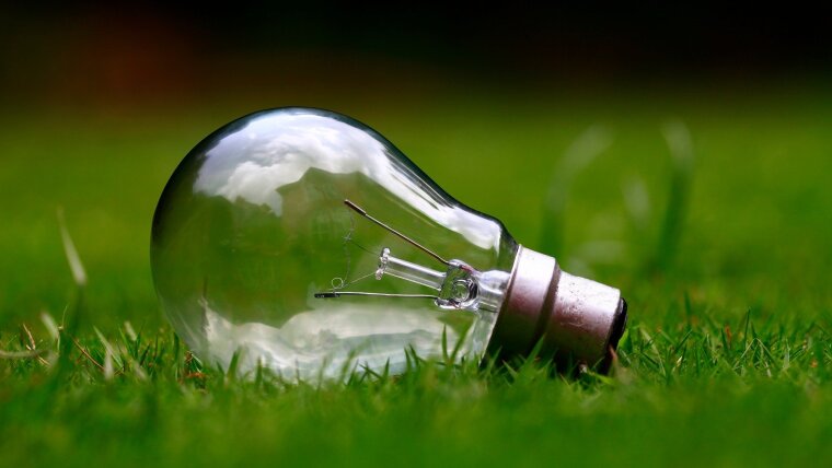 Lightbulb in the grass