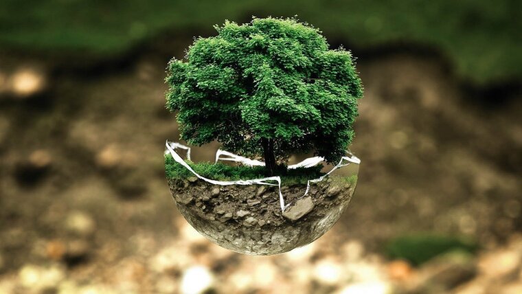 Symbolbild Nachhaltigkeit mit einem grünen Baum in eine halbe Erdkugel gebettet.
