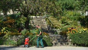 Ausbildung Botanischer Garten