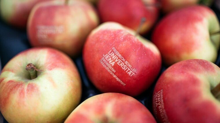 Äpfel mit dem BGM-Logo