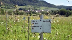 A sign marks an experimental area in a tall green grassy meadow.