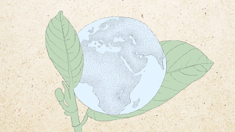 A globe is centered between two leaves.