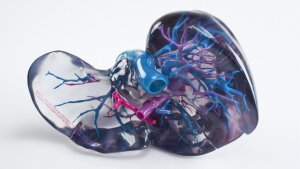 Hochpräzise Prototypen mit transparenten, flexiblen und vollfarbigen Materialien