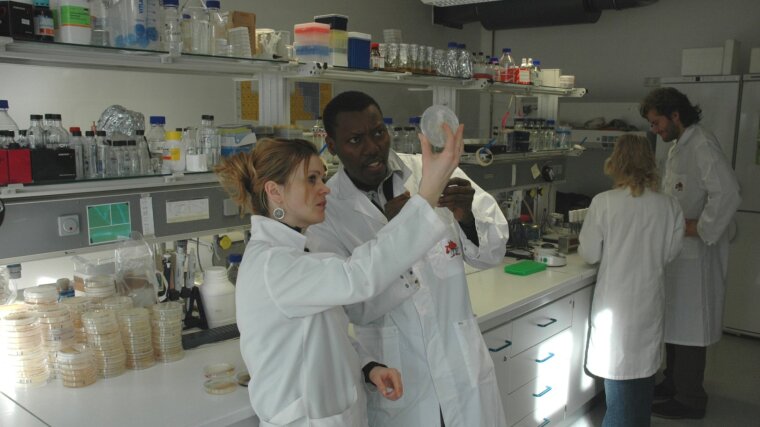 Biology laboratory at the University of Jena