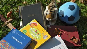 Piles of toys, children’s books and study books on a lawn