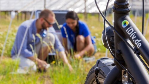 Doctoral researchers of biodiversity research